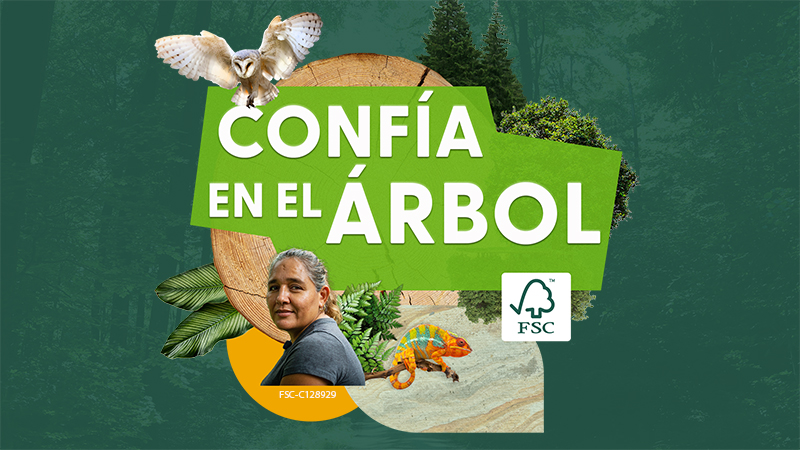 confia en el arbol es 2.jpg