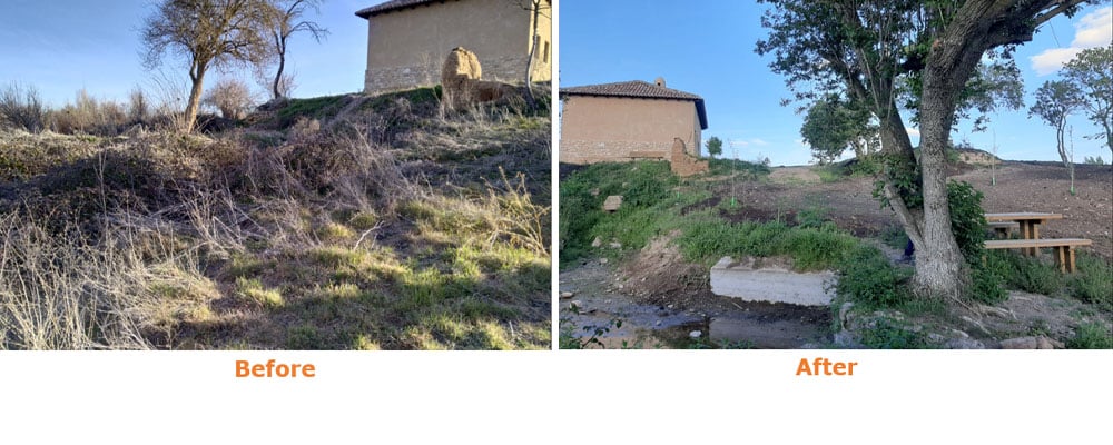 A nossa fábrica de papel de Dueñas, em Espanha, apoiou recentemente a recuperação da biodiversidade e da paisagem na comunidade local através da plantação de árvores nativas da zona.