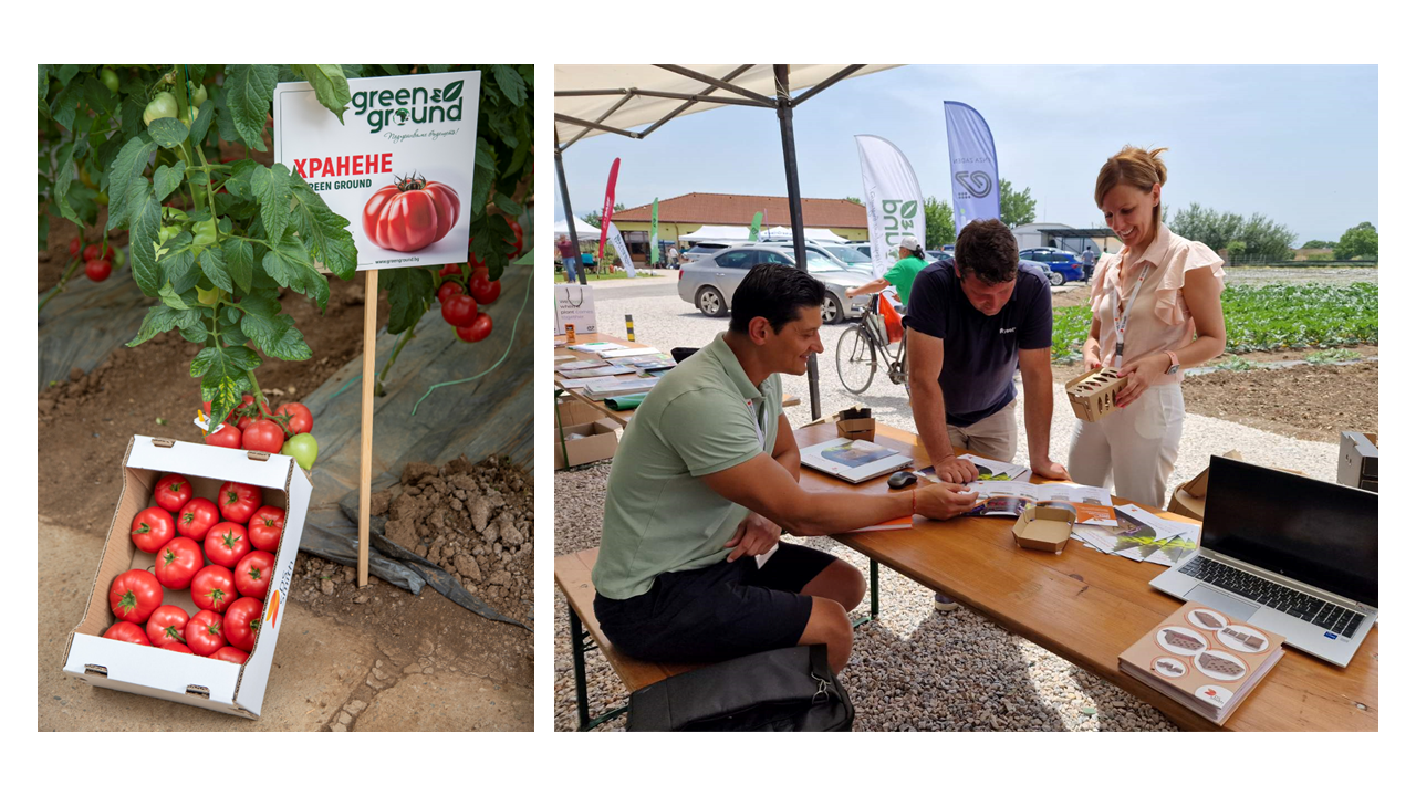 Team members from Bulgaria showcasing F&V punnets