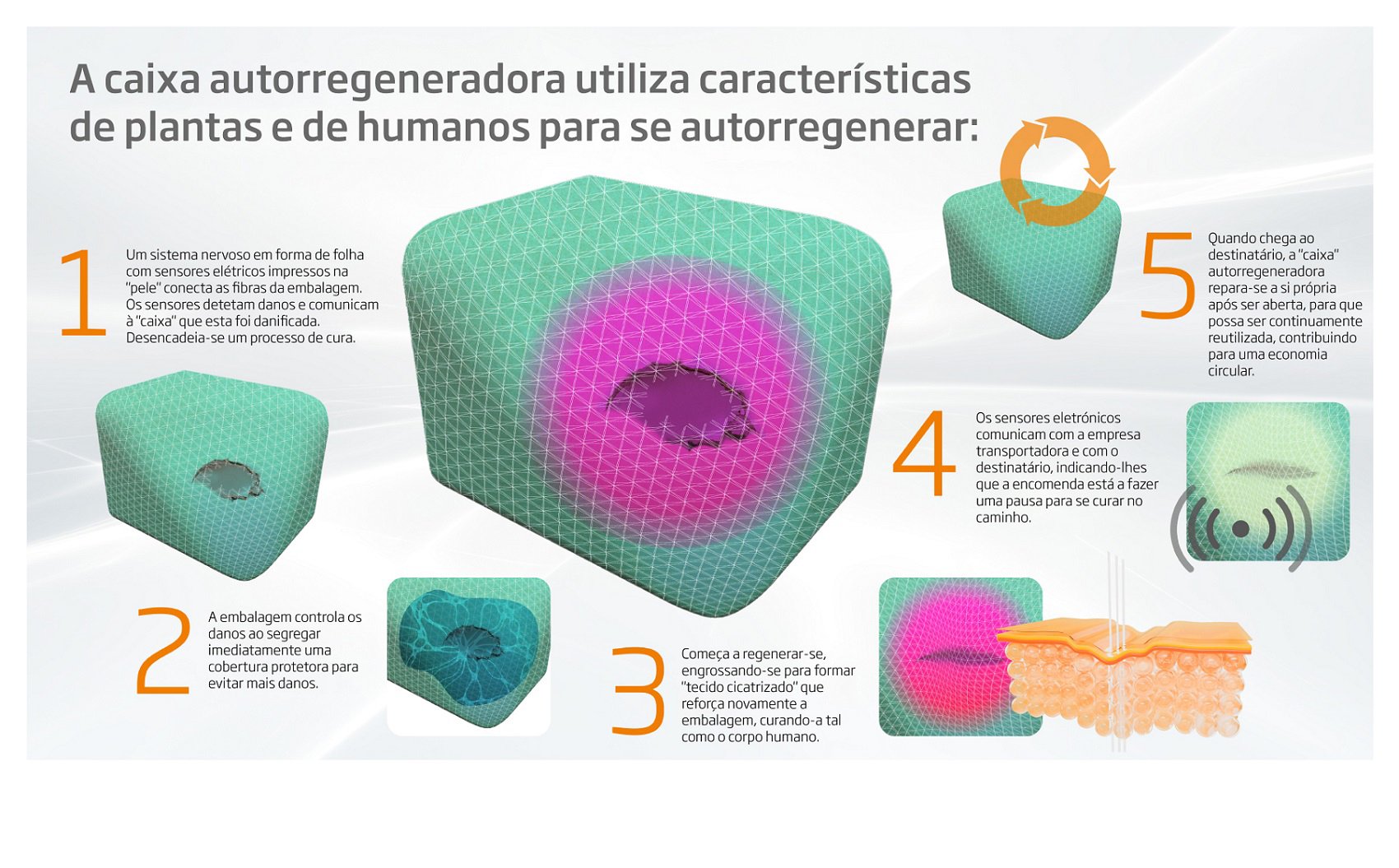 Características da caixa autorregeneradora